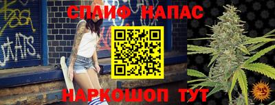 ПСИЛОЦИБИНОВЫЕ ГРИБЫ Канаш