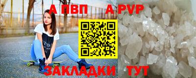стаф Камышлов