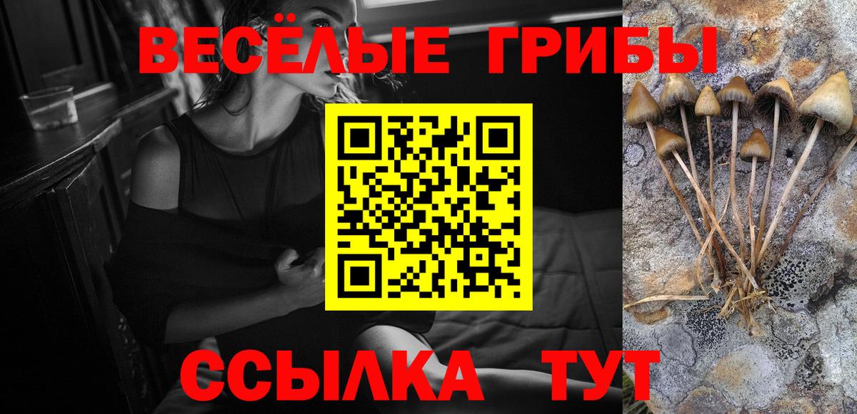 Галлюциногенные грибы Psilocybe  Вход с VPN  Галлюциногенные грибы прущие грибы  Кинель 