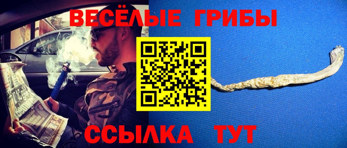 Галлюциногенные грибы MAGIC MUSHROOMS Кинель